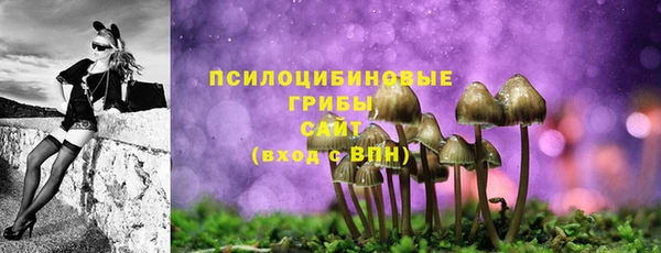 таблы Белокуриха