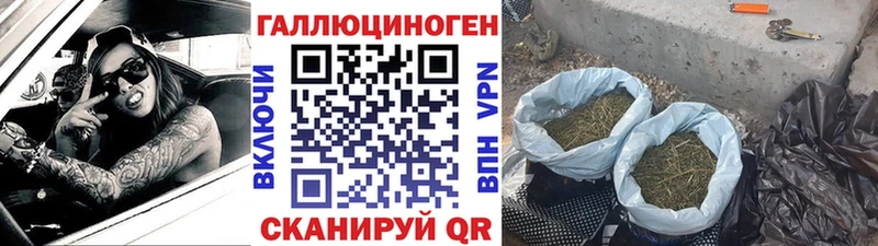 darknet клад  как найти   Жирновск  Псилоцибиновые грибы мицелий 